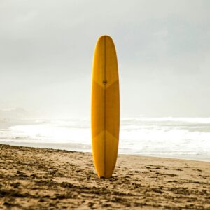 The "Golden Hour" Heritage Longboard