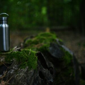 Insulated Stainless Steel Water Bottle